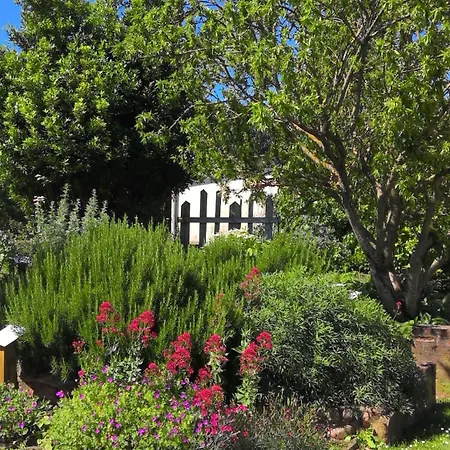 La Maison Lourego-Hortensia Hauterives Esterno foto